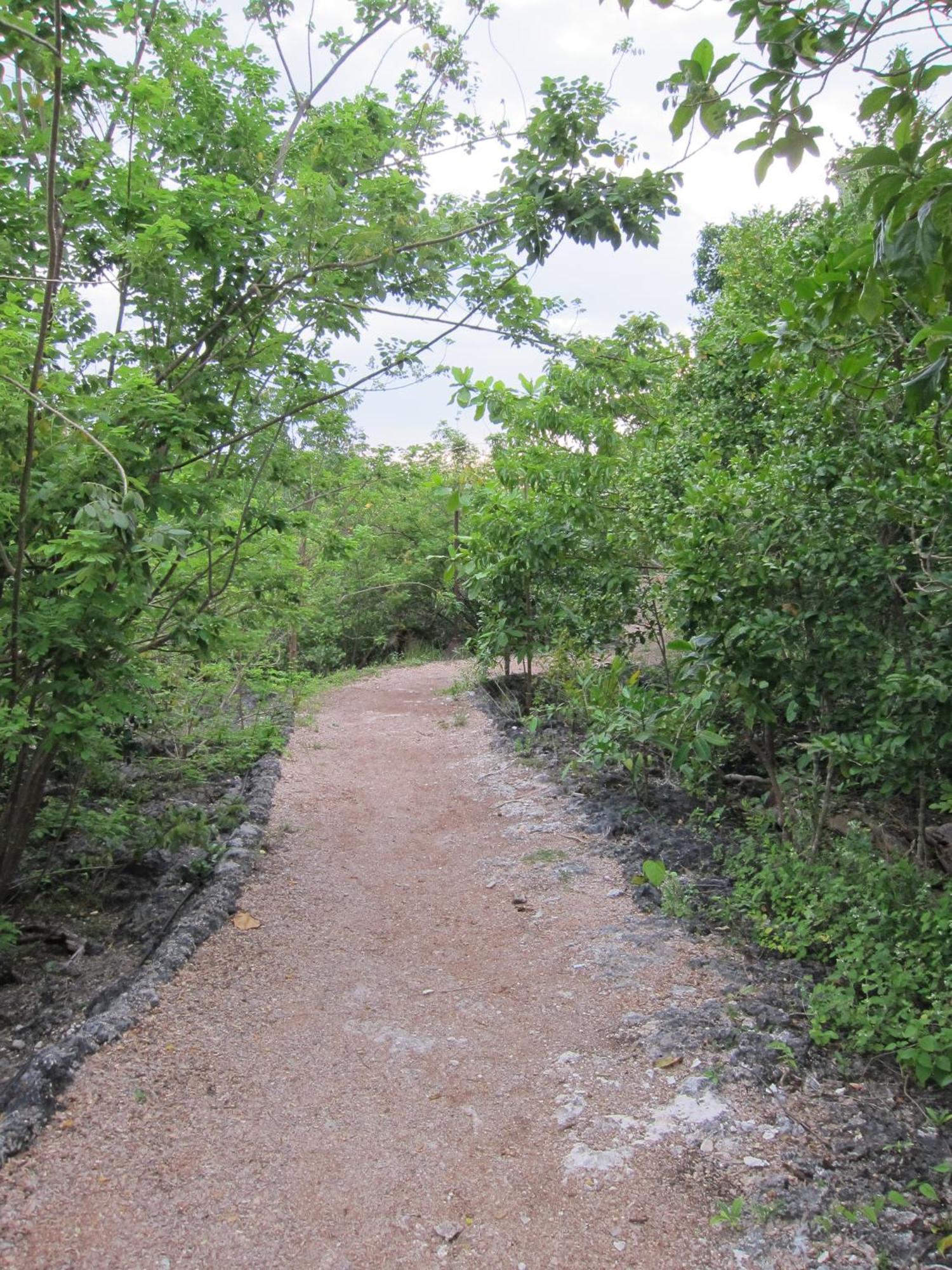 Eskapo Verde Lodge Moalboal Badian Eksteriør bilde