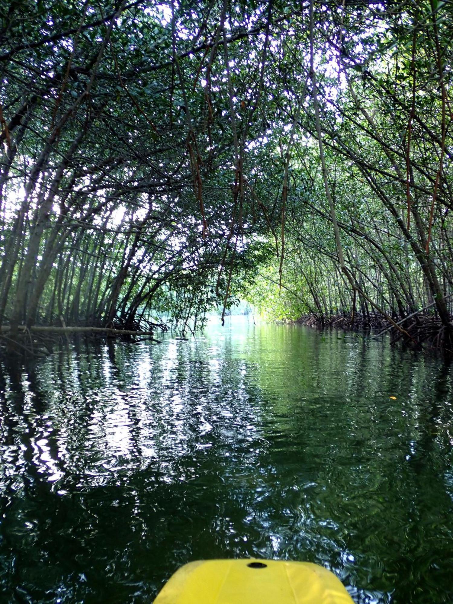 Eskapo Verde Lodge Moalboal Badian Eksteriør bilde